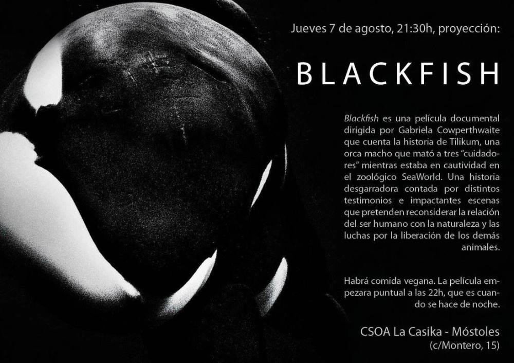 blackfish-lacasika